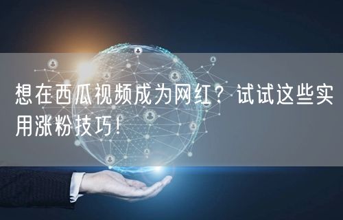 想在西瓜视频成为网红？试试这些实用涨粉技巧！