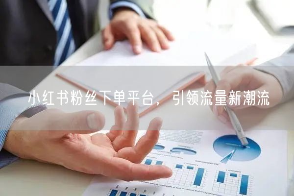 小红书粉丝下单平台，引领流量新潮流