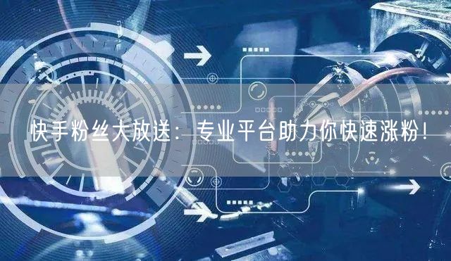 快手粉丝大放送：专业平台助力你快速涨粉！