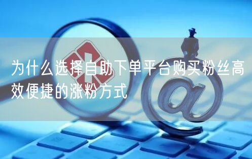 为什么选择自助下单平台购买粉丝高效便捷的