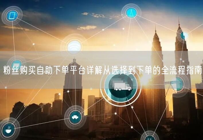 粉丝购买自助下单平台详解从选择到下单的全